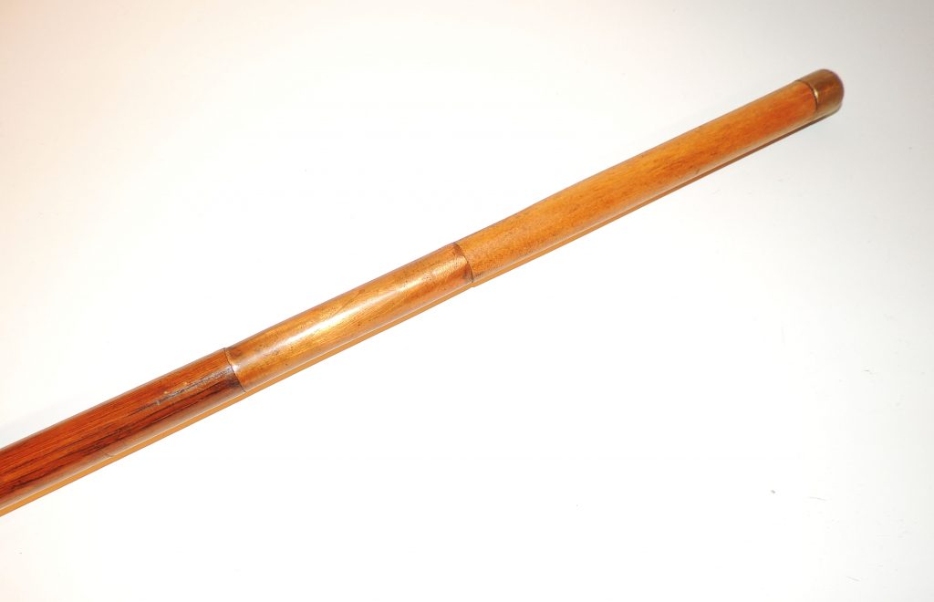 Thomas's Cane2