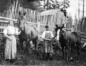Milka and Edith (r) Jackson posed with two horses on their family property in Albion on 102nd Ave in about 1910.