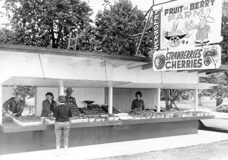 Telosky Farm fruit stand on Lougheed Highway in 1965.