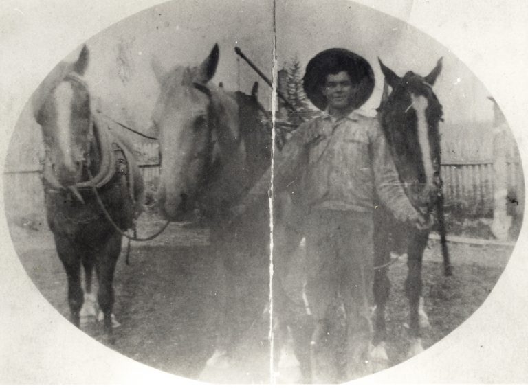 MCIVER HIGH SCHOOL CERTIFICATE Maple Ridge Museum