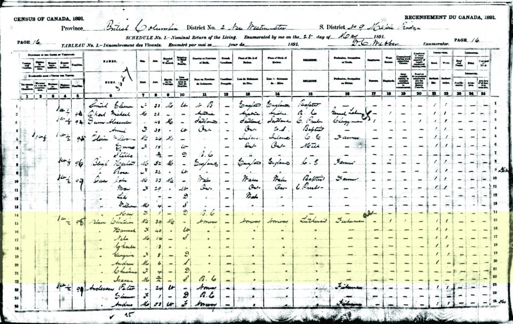 1891 census for Nelson family