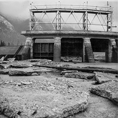 Environment & Natural History – Maple Ridge Museum